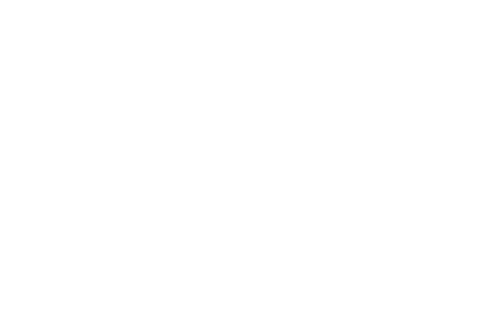 2024 Logo Weiss